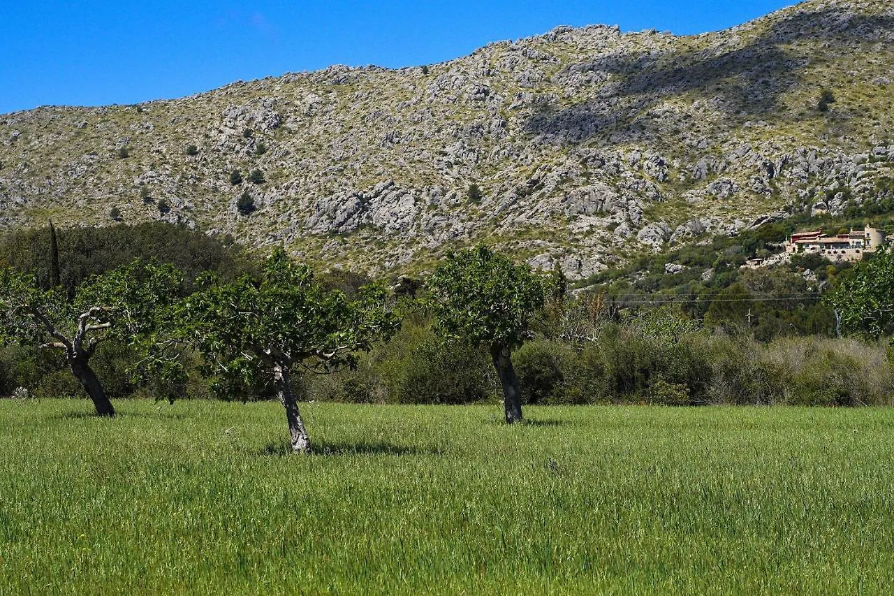Villa La Vinya Can Oliver - Oliver Pollença